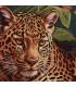 CUADRO LEOPARDO-PANTERA 2/M TEJIDO 85 X 100 CM