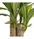PLANTA DRACAENA VERDE POLIESTER 70 X 110 CM
