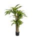 PLANTA DRACAENA VERDE POLIESTER 100 X 140 CM