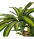 PLANTA DRACAENA VERDE POLIESTER 100 X 140 CM