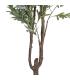 PLANTA OLIVO VERDE POLIESTER DECORACIÓN 110 X 210 CM