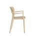 SILLA APILABLE CAQUI PP CONTRACT 51,50 X 51 X 80 CM