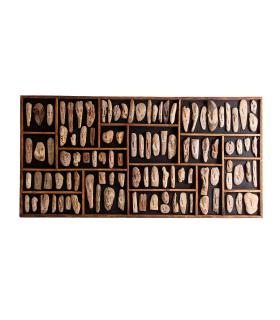 PANEL DECORATIVO FÓSILES