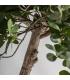 PLANTA