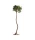 PLANTA