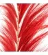 Stunning Leaf - Rojo Vibrante  - Juego de 6