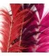 Stunning Leaf - Rosa Vivo - Juego de 6