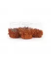 The Oh My Gee Candle Holder - Rust Velvet - M - Set of 4
