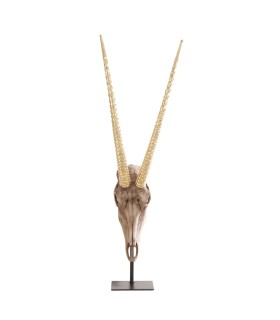 BUSTO CABRA