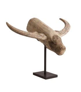 BUSTO TORO