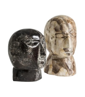 BUSTO SURT