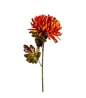 FLOR CRISANTEMA