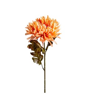 FLOR CRISANTEMA