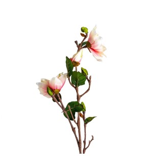 FLOR YULAN