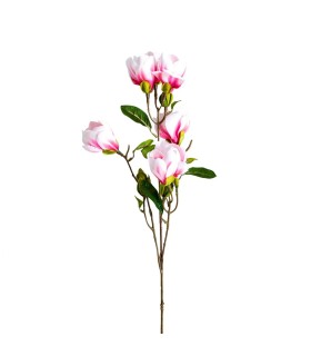 FLOR MAGNOLIA