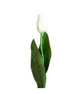 FLOR TULIPAN