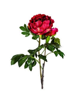 FLOR PEONIA
