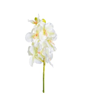 FLOR AZAHAR
