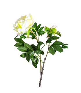 FLOR