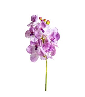 FLOR