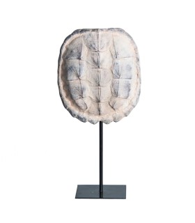 ESCULTURA CAPARAZÓN TORTUGA