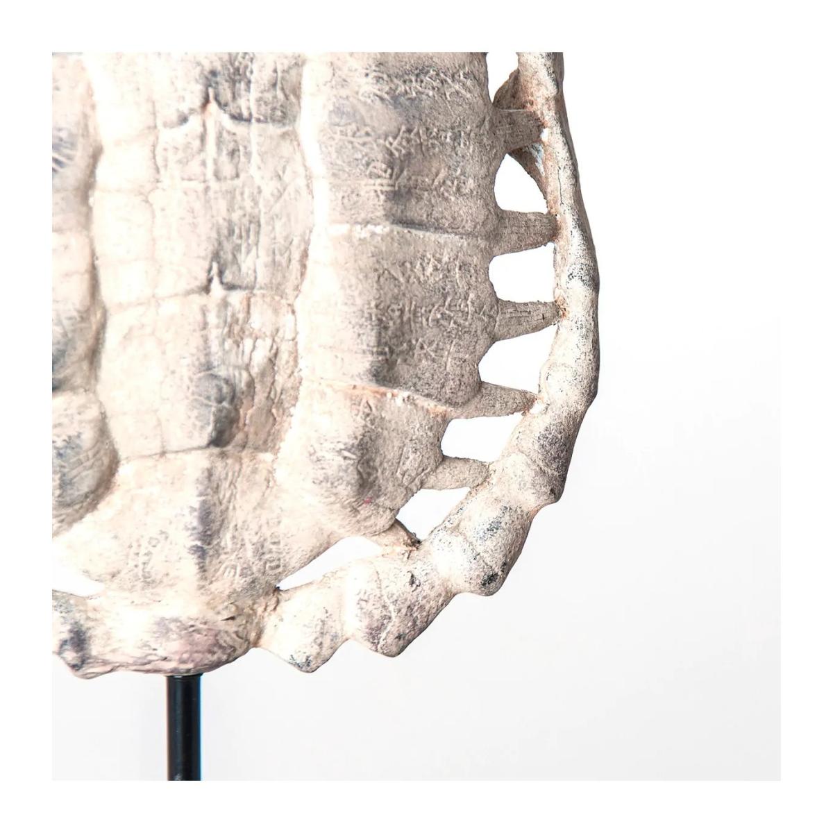 ESCULTURA CAPARAZÓN TORTUGA