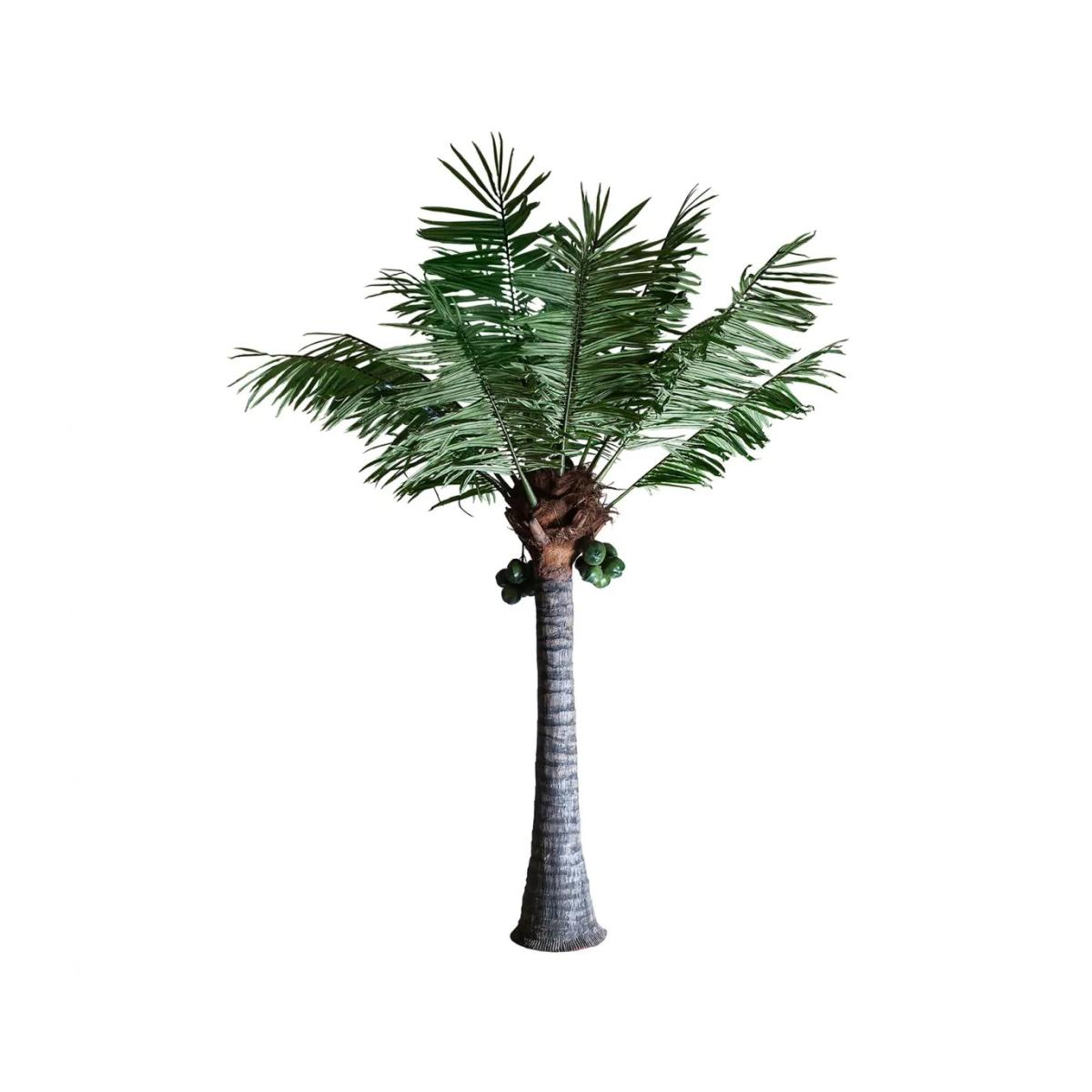PLANTA PALMERA
