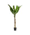 Planta bananera de poliéster verde 165 cm