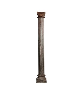 COLUMNA ACELINE