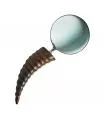 MADDY MAGNIFYING GLASS