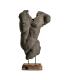 BUSTO MAN