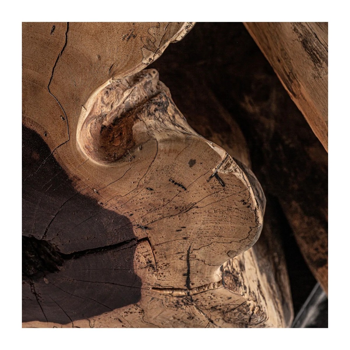 MESA DE CENTRO DHARM