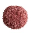 Asira cushion