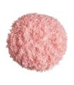 Asira cushion