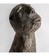 BUSTO BLASSE