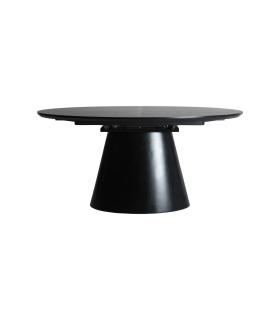 MESA EXTENSIBLE LIZANT