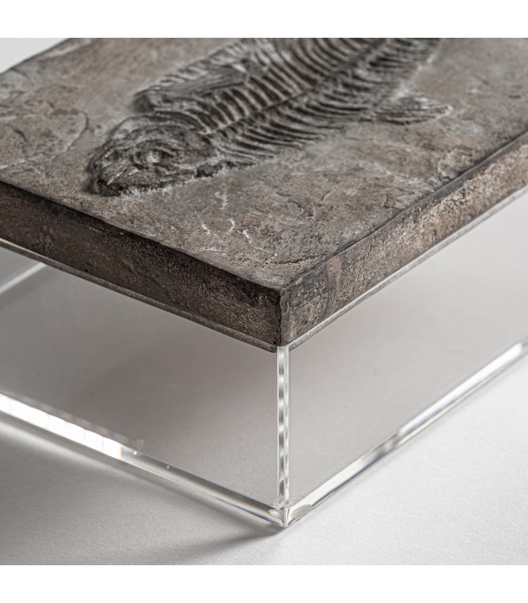 CAJA