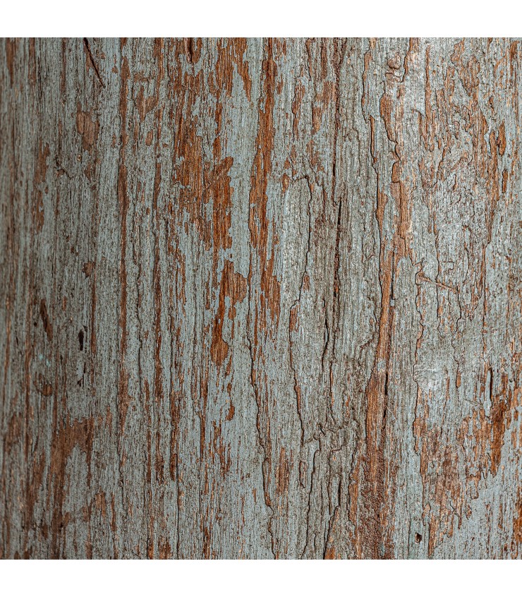 COLUMNA HADU