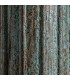 COLUMNA GAZIT