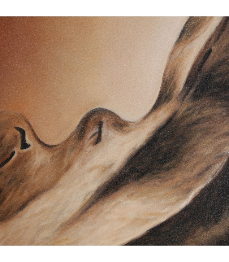 LIENZO KIROS
