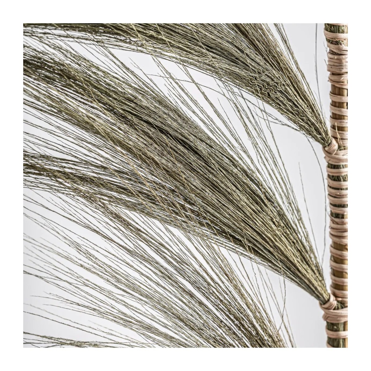 BRANCHÉ DECORATIVE SET 6