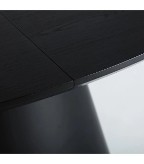 MESA EXTENSIBLE LIZANT