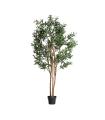 PLANTA DE OLIVEIRA ARTIFICIAL