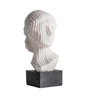 BUSTO