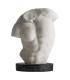 BUSTO