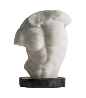 BUSTO