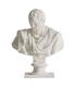 BUSTO