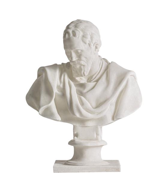 BUSTO