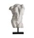 BUSTO