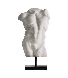 BUSTO